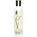 Bio Follicle Shampoo - Lemongrass And Sage - 8 Fl Oz