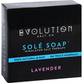 Evolution Salt Bath Soap - Sole - Lavender - 4.5 Oz
