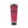 Shikai All Natural Hand And Body Lotion Pomegranate - 8 Fl Oz